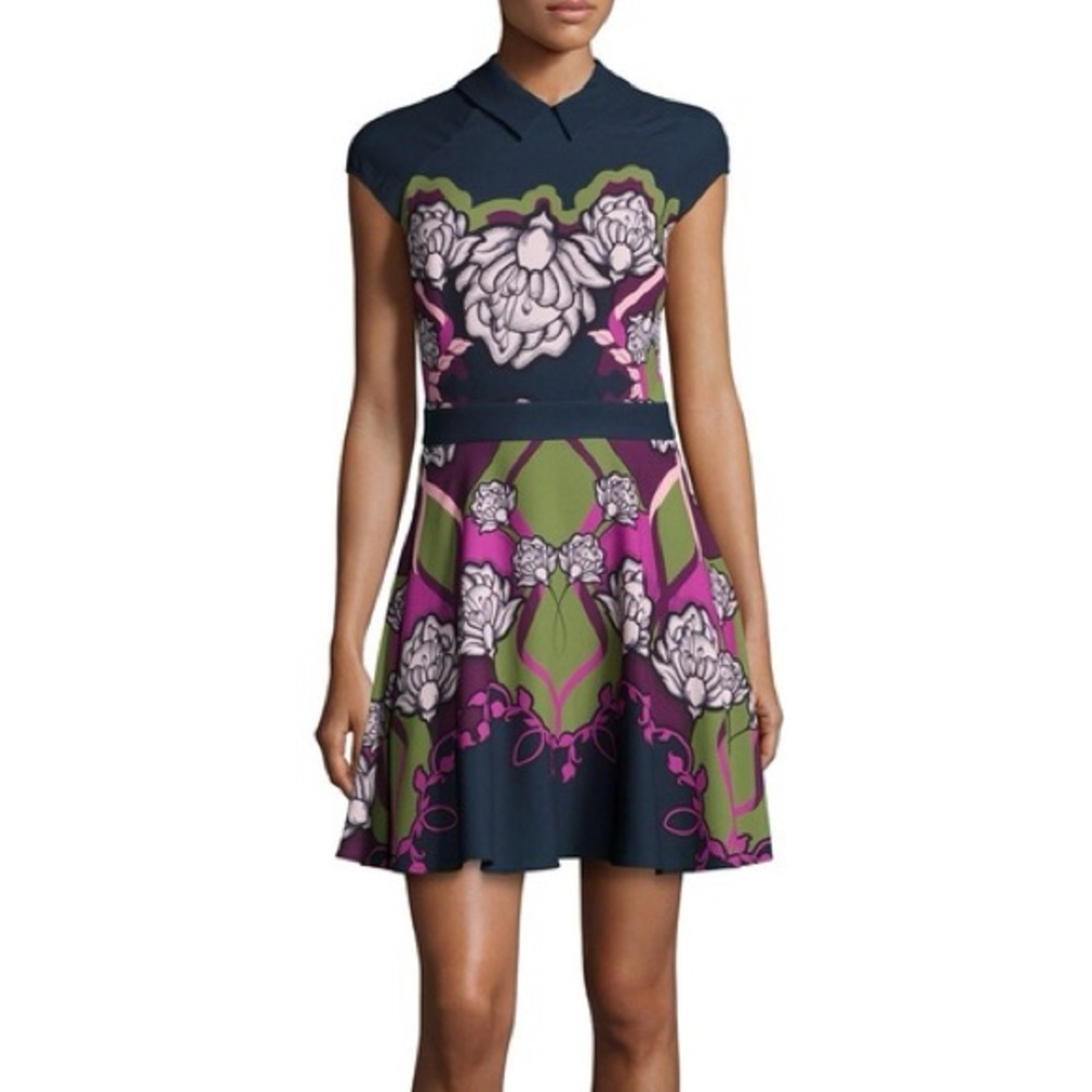 TED BAKER DAYWIN SURREAL TAPESTRY SKATER DRESS SIZE 2